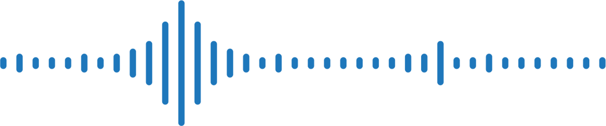 Lexacom Echo medical speech recognition